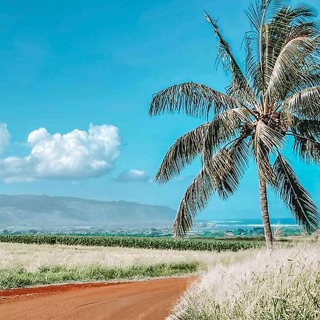 Cute Off Grid Glampsite With Wifi- 5 Min From Haleiwa Town Exterior foto