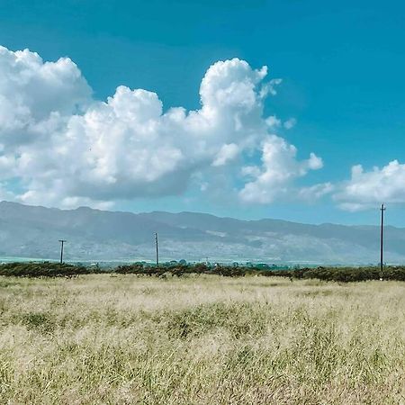 Cute Off Grid Glampsite With Wifi- 5 Min From Haleiwa Town Exterior foto