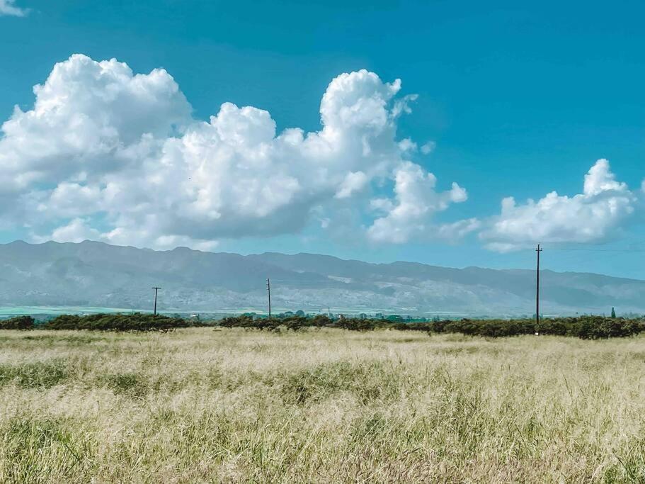 Cute Off Grid Glampsite With Wifi- 5 Min From Haleiwa Town Exterior foto